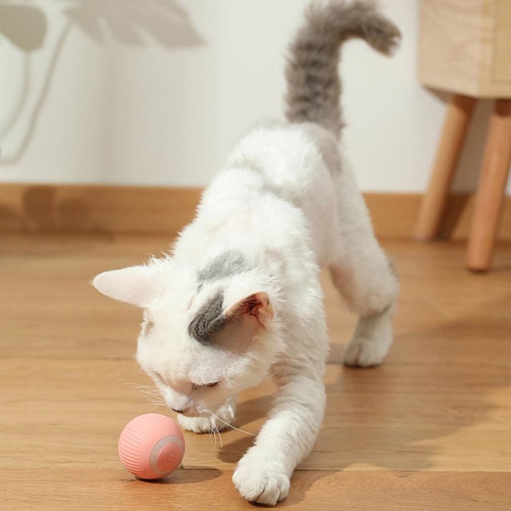 Bola Recarregável Anti-Ansiedade para Gatos