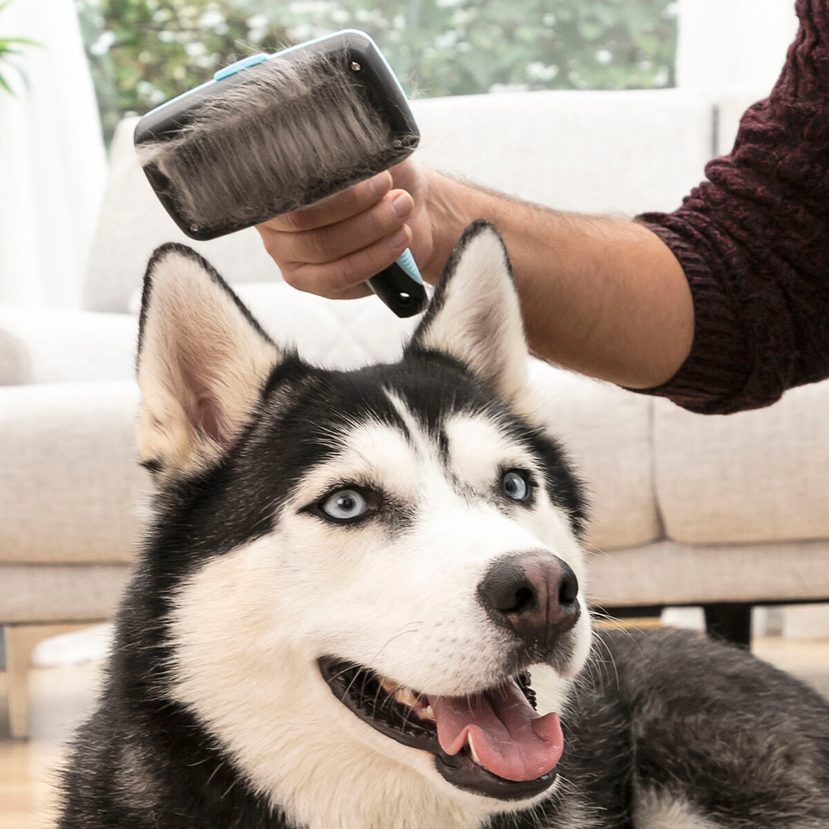 Escova de Limpeza para Animais de Estimação com Cerdas Retráteis Groombot InnovaGoods